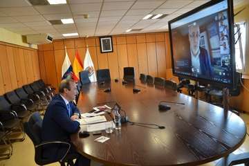 Reunión telemática del presidente del Cabildo de Gran Canaria con los alcaldes y alcaldesas de la Isla (Foto TA)